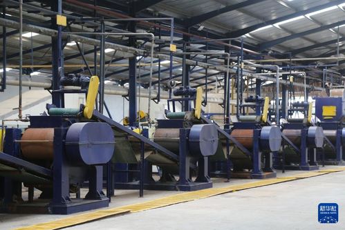 中非共繪非洲農業發展藍圖 鏡頭下的合作與希望